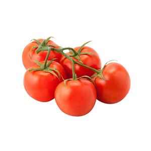 Tomato Bunch Red (Holland)