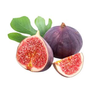Fig Packet