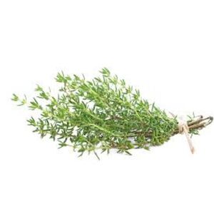 Herbs Thyme