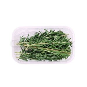 Rosemary Pot