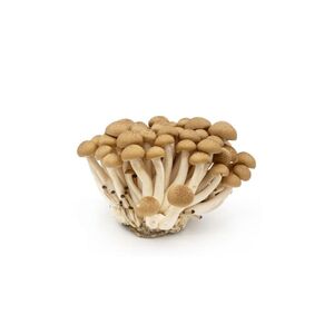 Mushroom Shimji Brown Packet