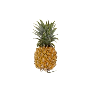 Pineapple Baby Pcs