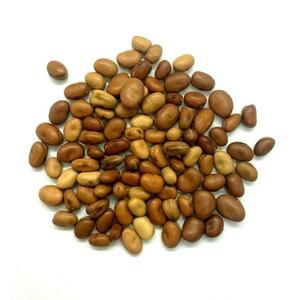 Emirates Royal Broad Beans Small 500Gm