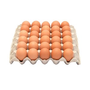 Happy Basket Eggs Red 30 Pieces