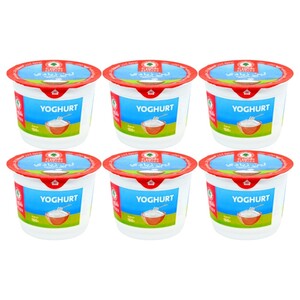 Chtoora Yoghurt 100G X6