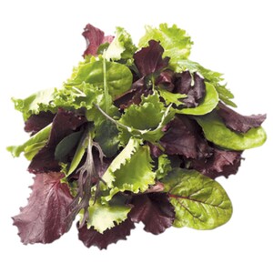 Lettuce Mix Italy