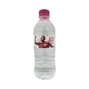 Nejmeh Mineral Water 500Ml