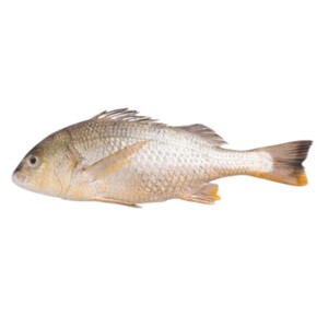 Nagror