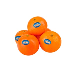 Africa Mandarine Nova