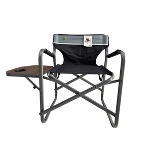 Lifetime Director Chair