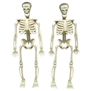 Trishi Skeleton 14 × 6 × 1.5Cm Set Of 2 Pieces