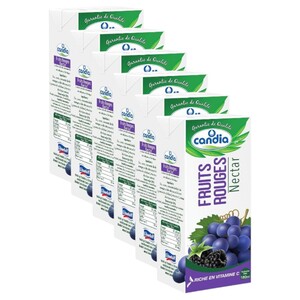 Candia Juice Fruits Rouges Nectar 180Ml X6