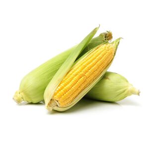 Sweet Corn Uae