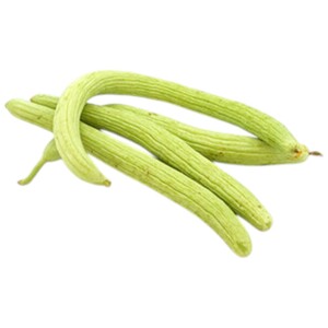 Wild Cucumber - مقتي