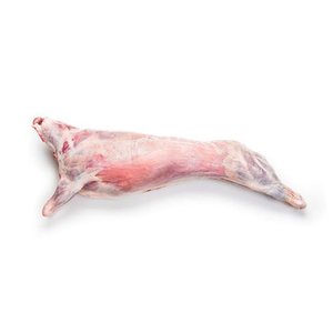 Fresh Lamb Kenya