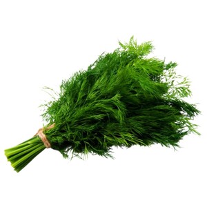 Shabath Leaves