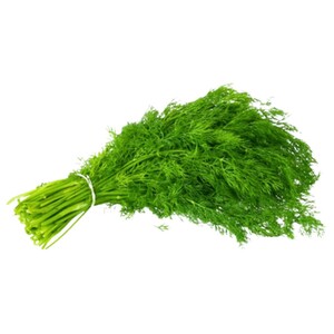Shabath Leaves