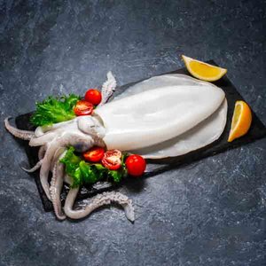 Fresh Cuttle Fish