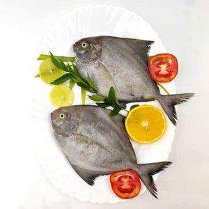 Fresh Pomfret