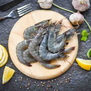 Fresh Shrimp 10 20