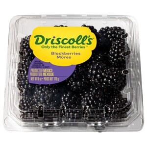 Driscoll's Blackberry 125G