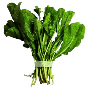 Gerger ( Arugula ) Local Rak