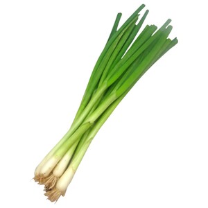 Onion Spring Local Rak