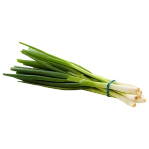 Onion Spring Local Rak