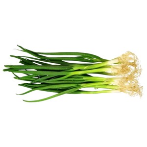 Onion Spring Local Rak
