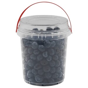 Blueberry Bucket