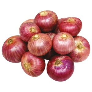 Onion Pakistan