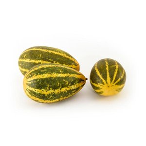 Cucumber Yellow