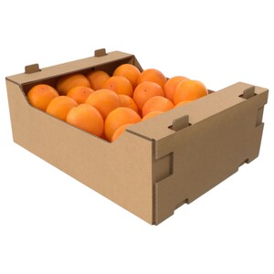 Orange Valencia Sa Carton
