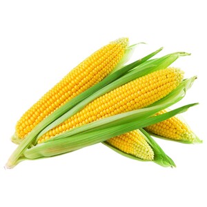 Corn