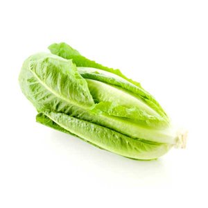 Lettuce Clean
