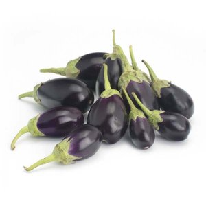 Eggplant Baby