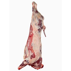 Kenya Lamb Carcass