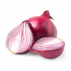 Onion Red Egypt