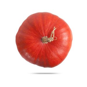 Pumpkin Red Small India