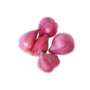 Shallot India