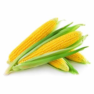 Sweet Corn Uae