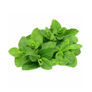 Mint Leaves Uae 100G