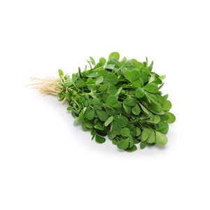 Dill Leaves Uae 100G