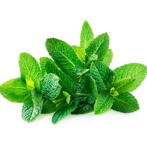 Mint Leaves Uae 100G