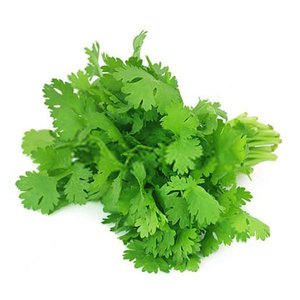 Coriander Leaves Premium Uae 100G