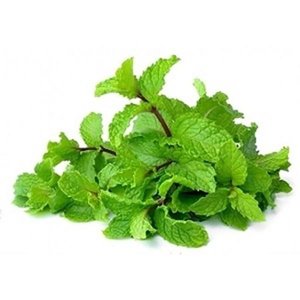 Mint Leaves Premium Uae 100G