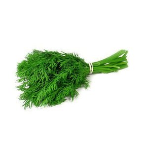 Dill Leaves Premium Uae 100G