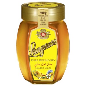 Langnese Pure Bee Honey 500G
