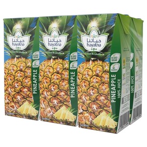Hayatna Juice Pineapple 180Ml X6