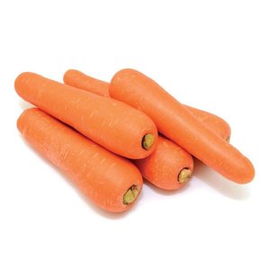 Carrot